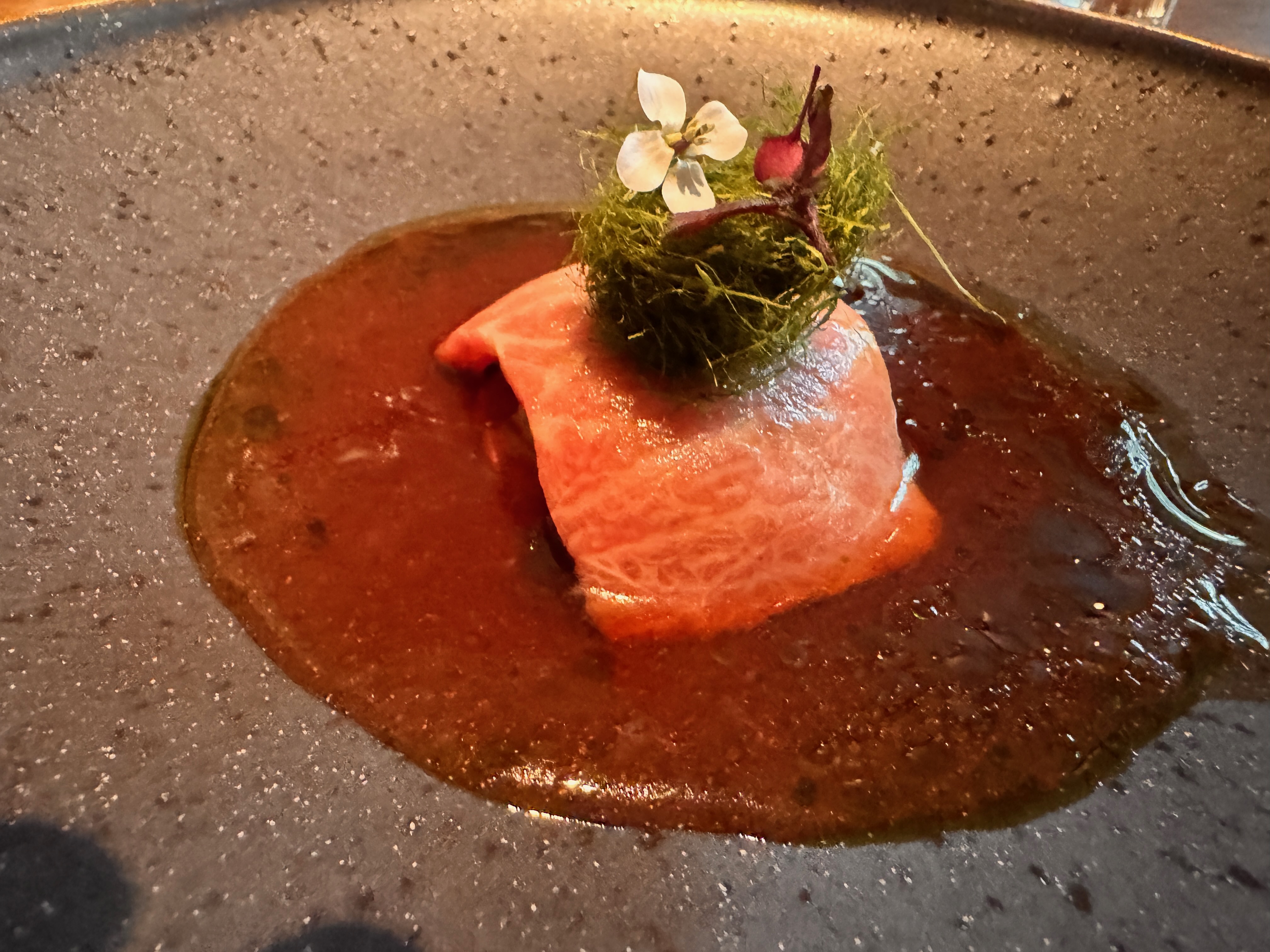 bluefin