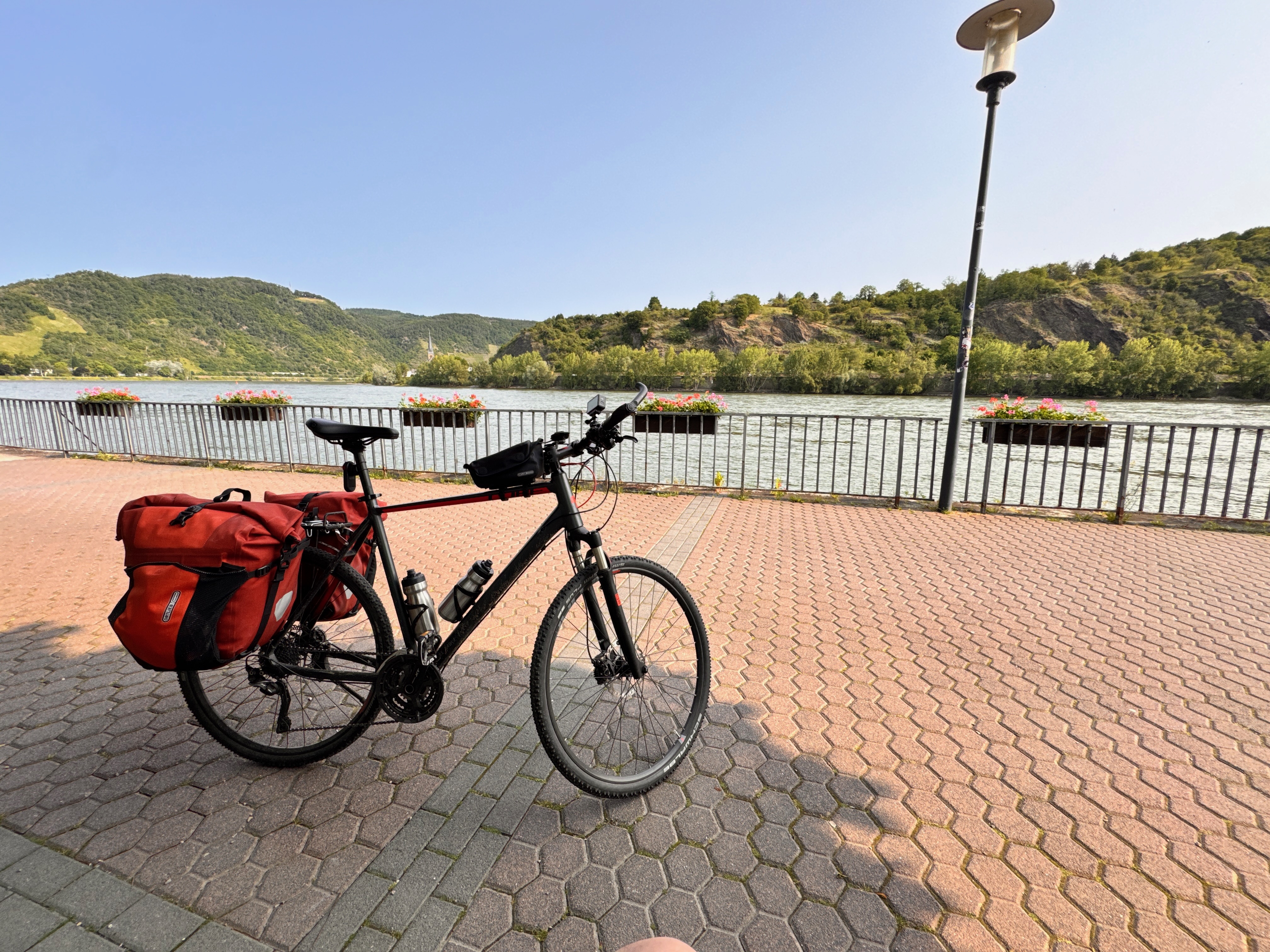bingen
